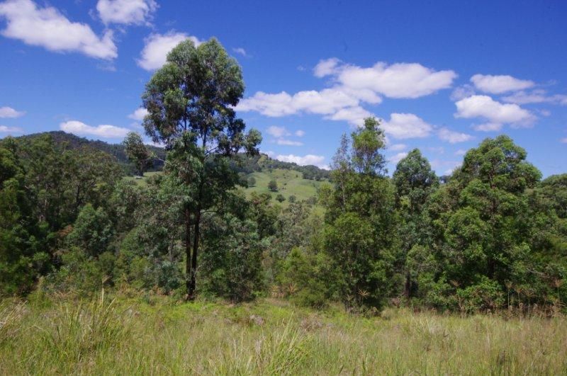 989 Mooral Creek Road, Strathcedar NSW 2429, Image 1