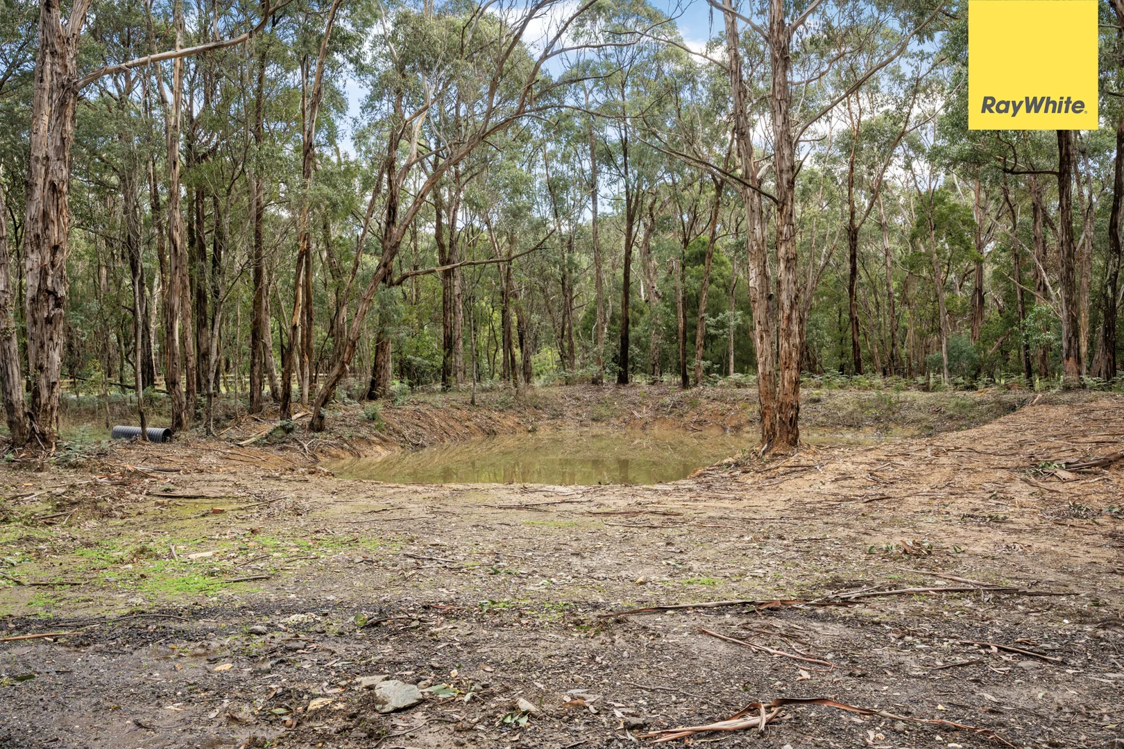 Image 19