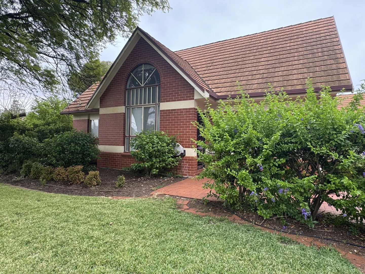 Primary image of 1 Wingillie Street, Mildura VIC 3500