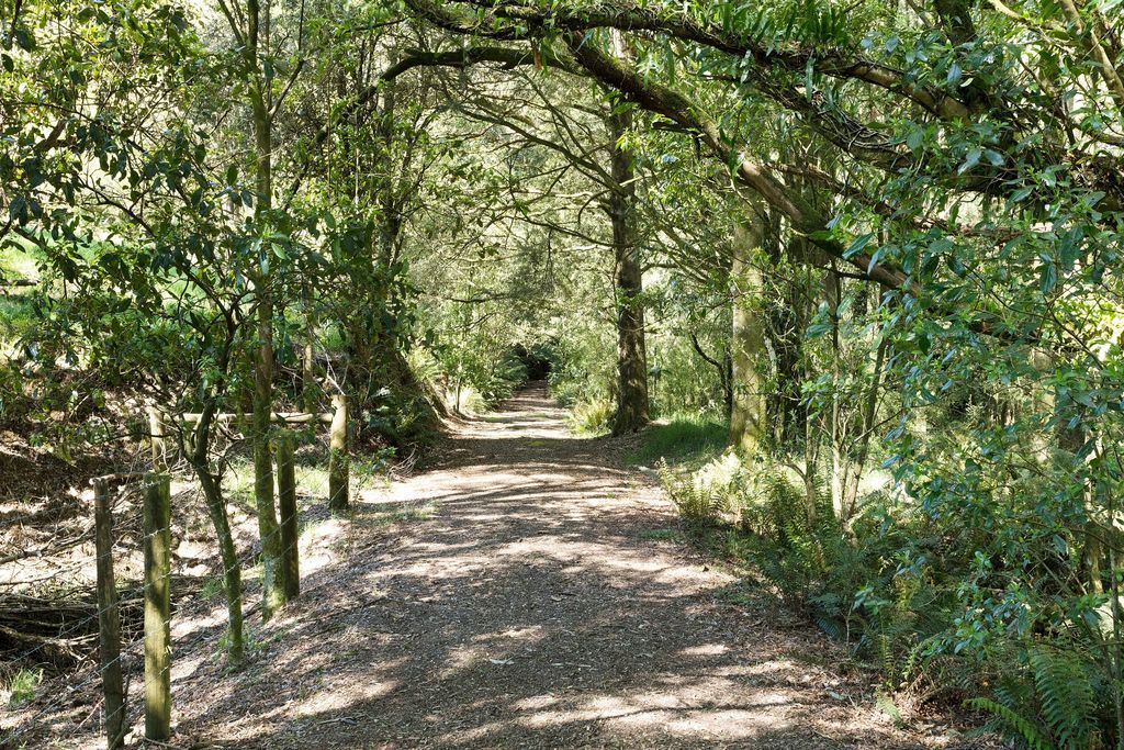 10 Old Main Road, Beech Forest VIC 3237, Image 2