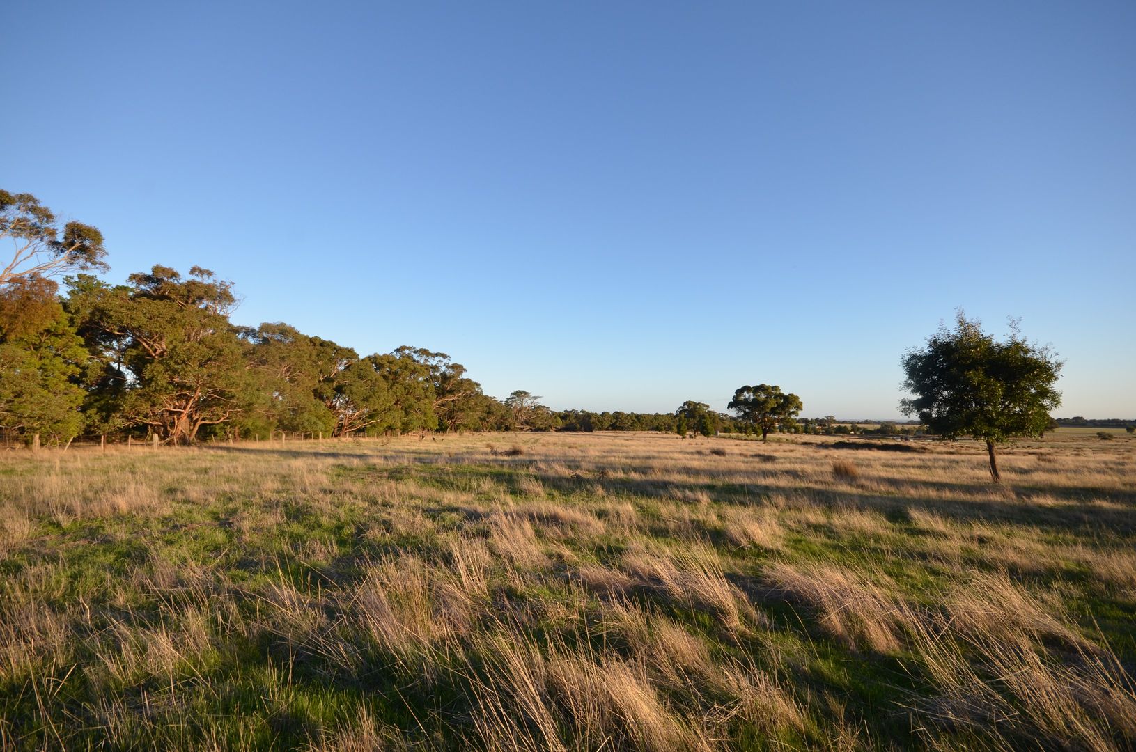 CA 1 Berringa Road, Berringa VIC 3351, Image 1