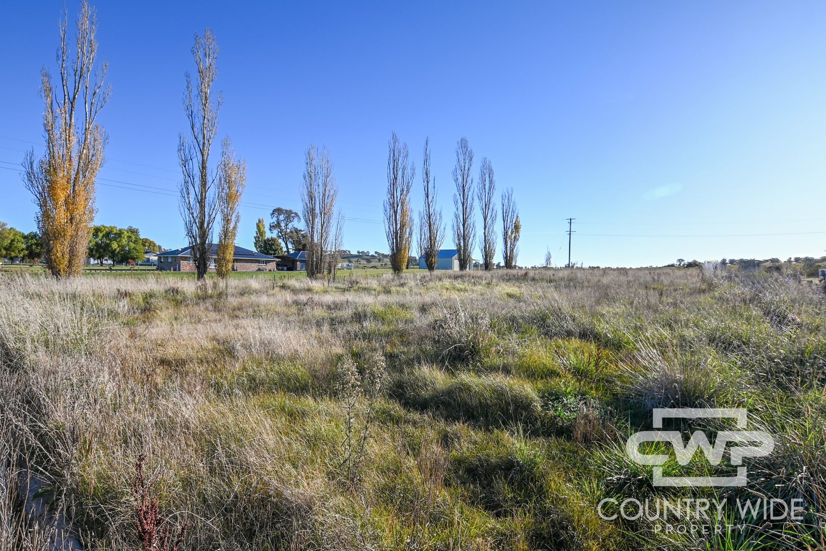 1001 Llangothlin Road, Guyra NSW 2365, Image 2