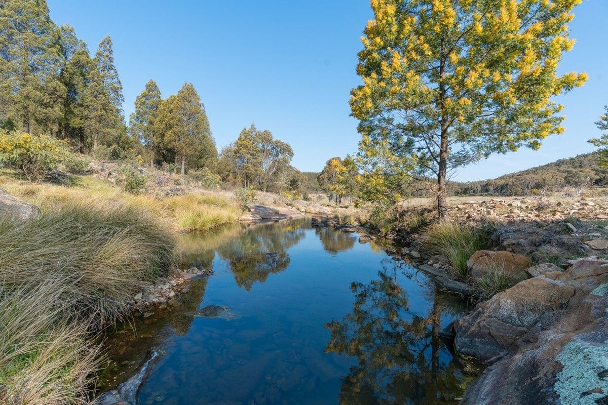 Lot 6 Bocobra Road, Bocobra NSW 2865, Image 0