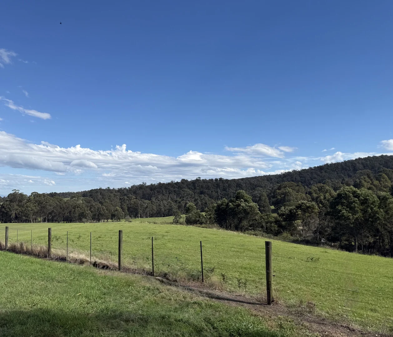 Additional image 6 of 54 Hilsley Court, Toongabbie VIC 3856