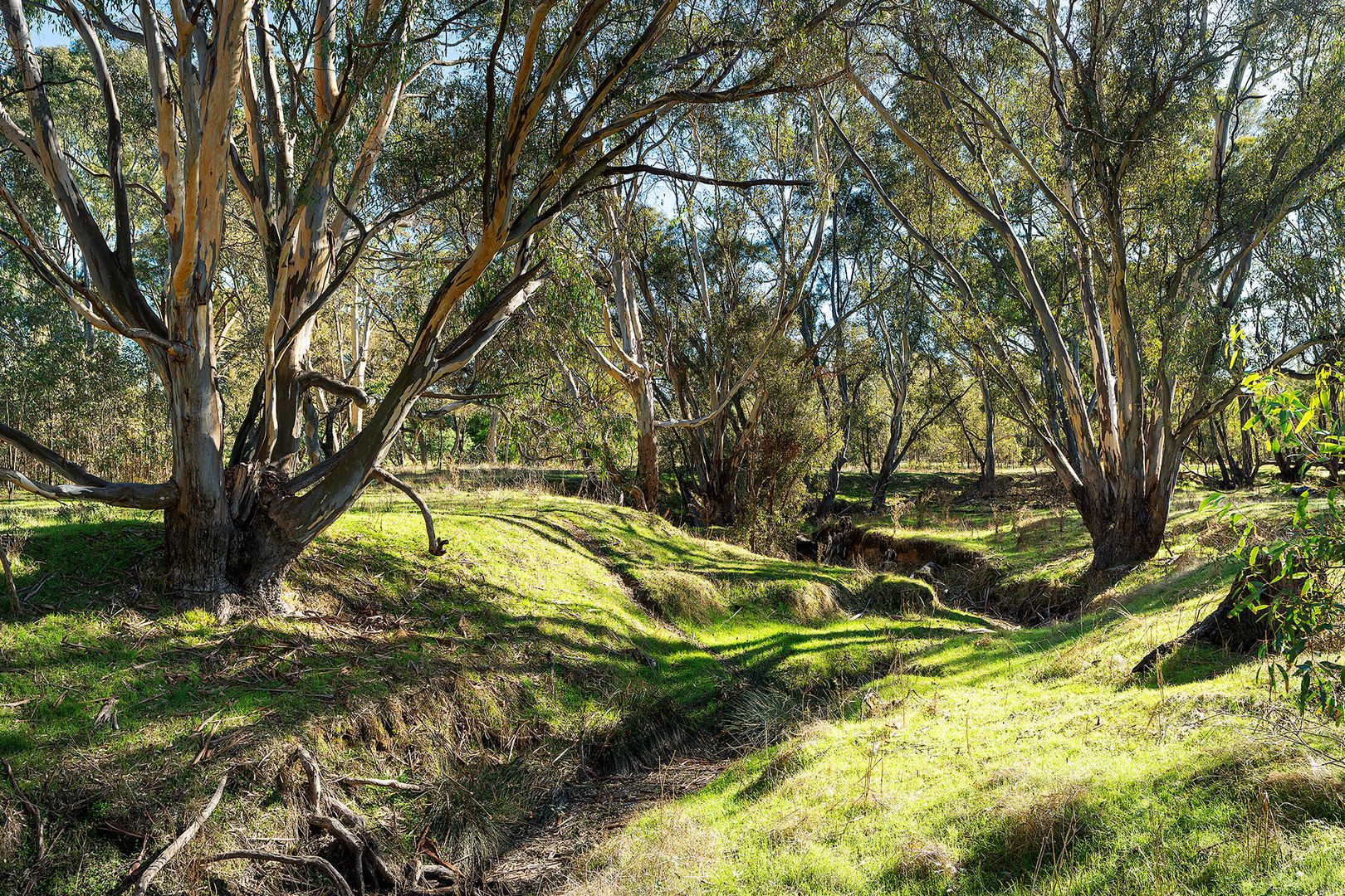 147 Sandy Creek Road, Maldon VIC 3463, Image 1