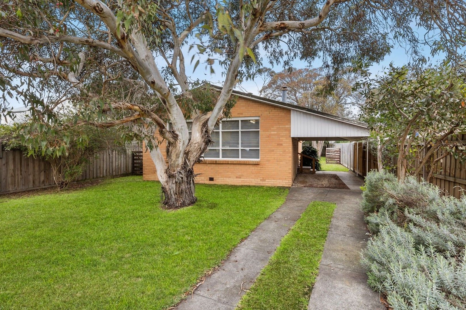 43 Bridge Road, Barwon Heads VIC 3227, Image 0