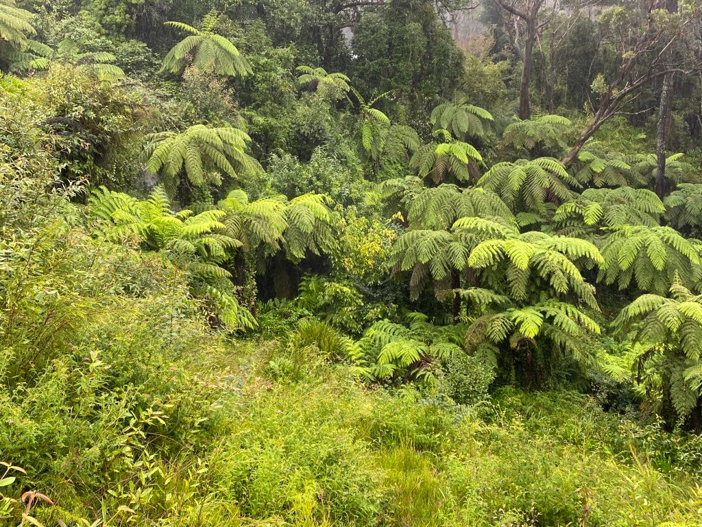 Wentworth Falls NSW 2782, Image 0