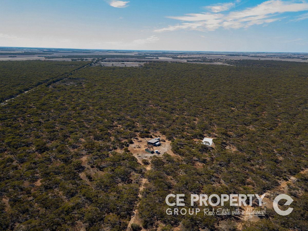 113 Mallee Road, Walker Flat SA 5238, Image 0