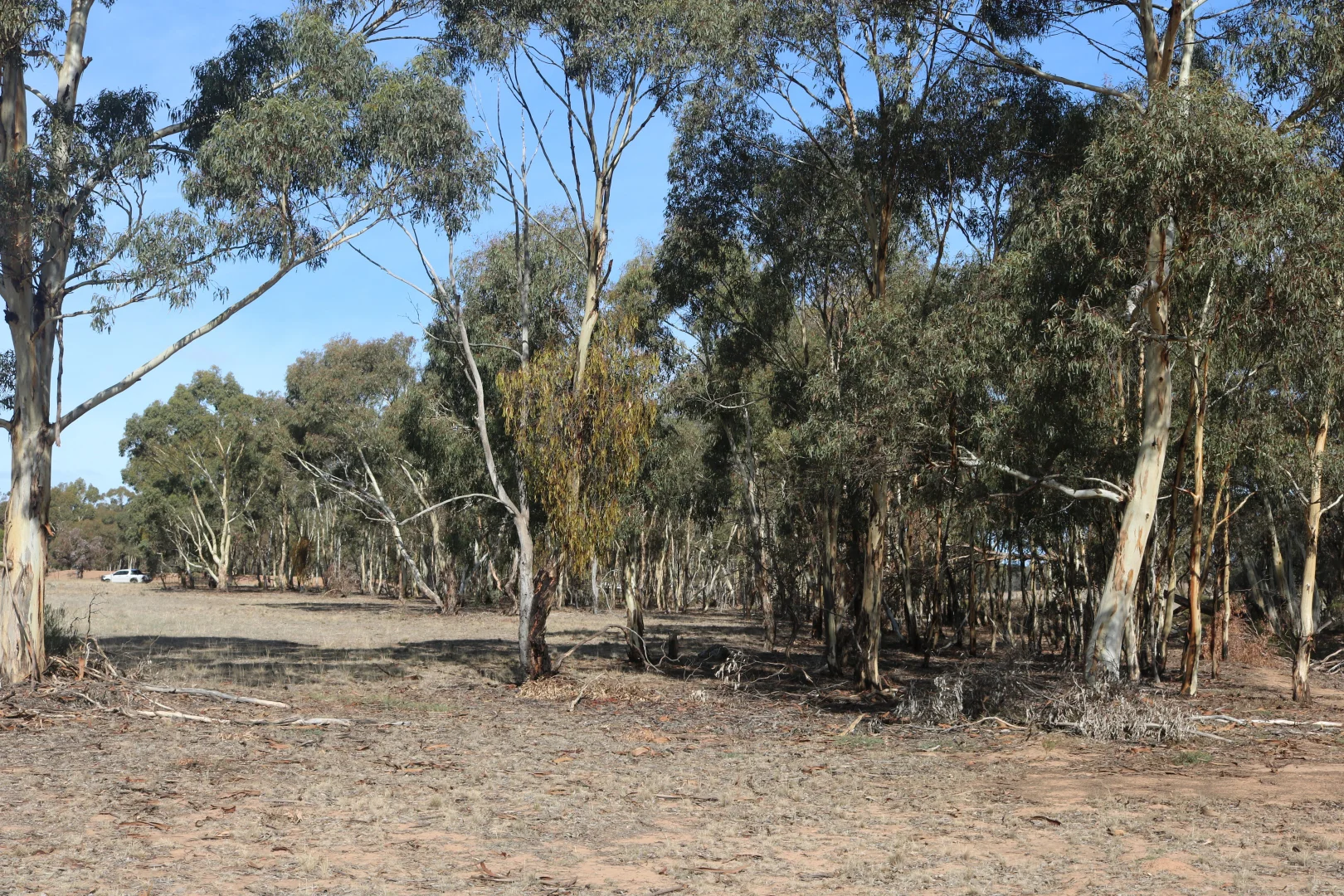 Additional image 22 of Old Boort Road, Woolshed Flat VIC 3518