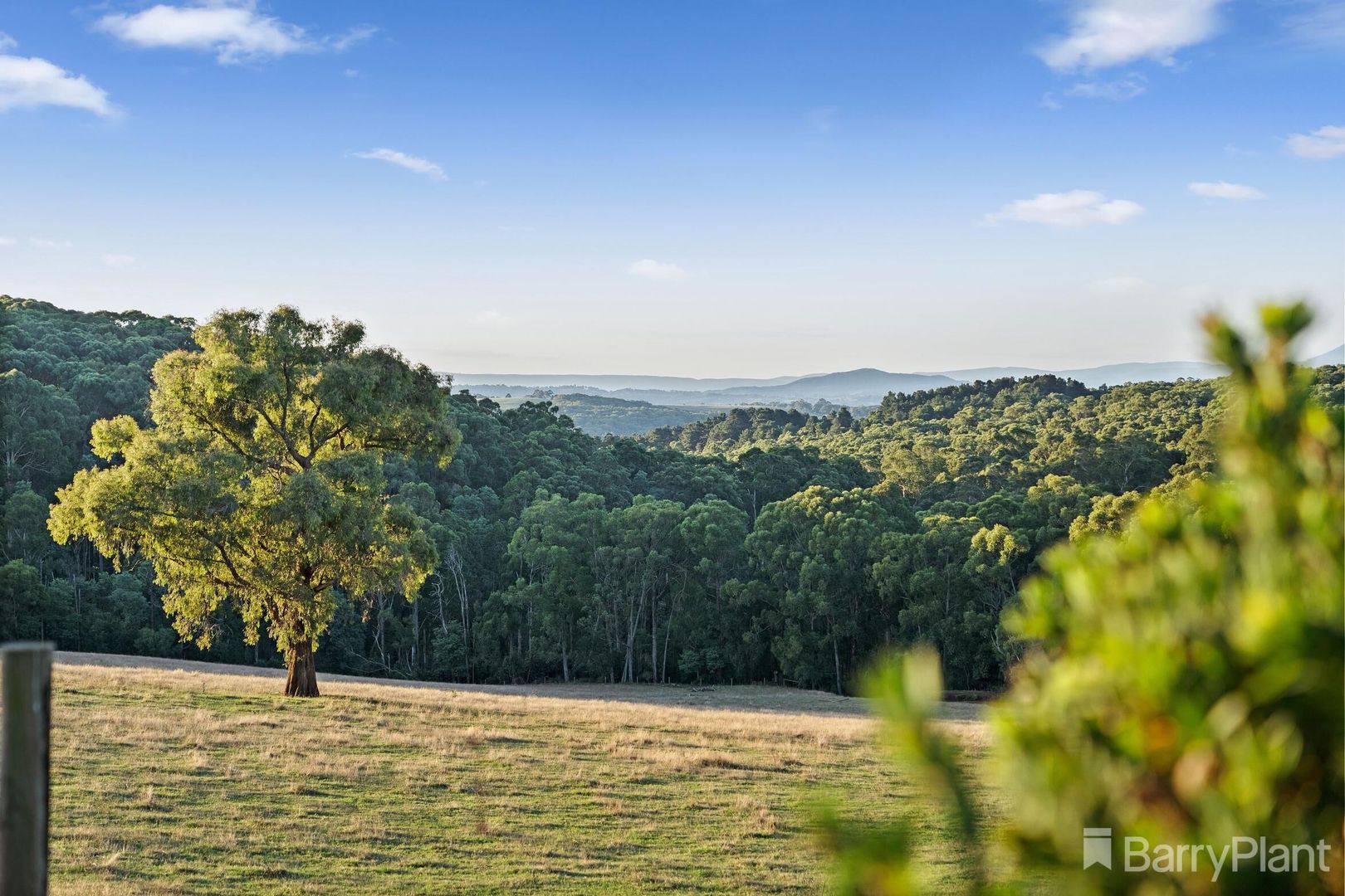 65 Evans Road, Cockatoo VIC 3781, Image 2