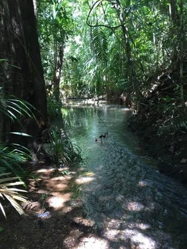 Image 19