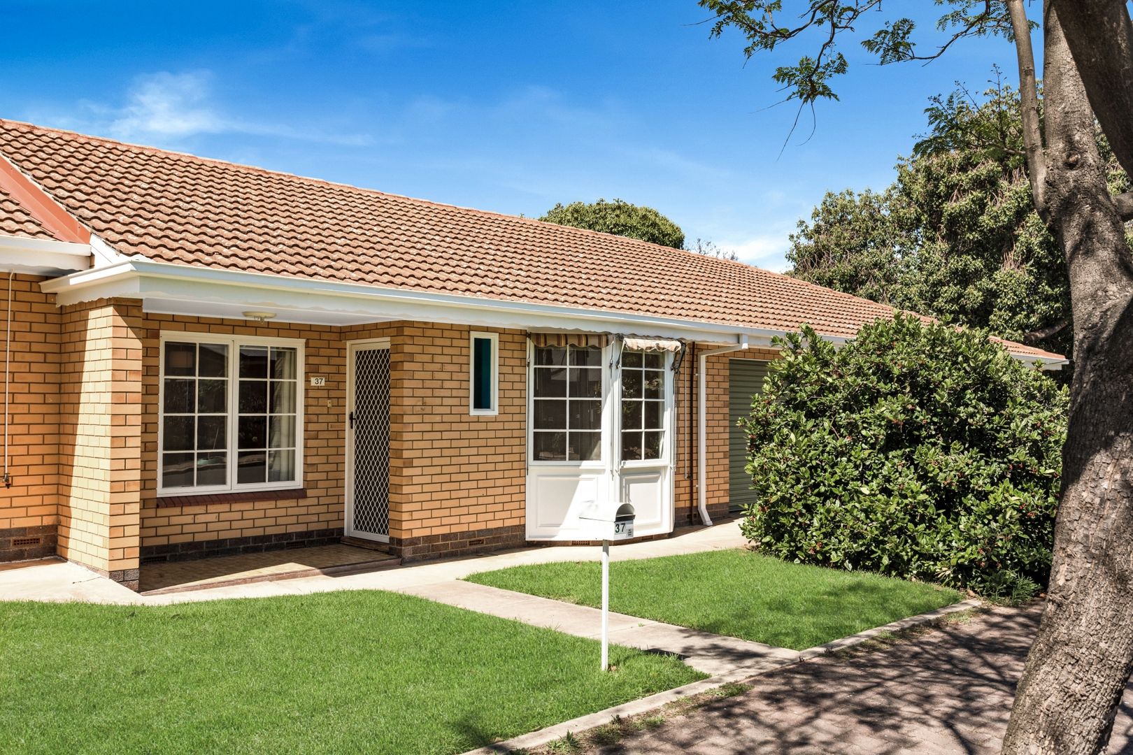 6/37 Lorraine Avenue, Clarence Park SA 5034 Apartment For Rent Domain