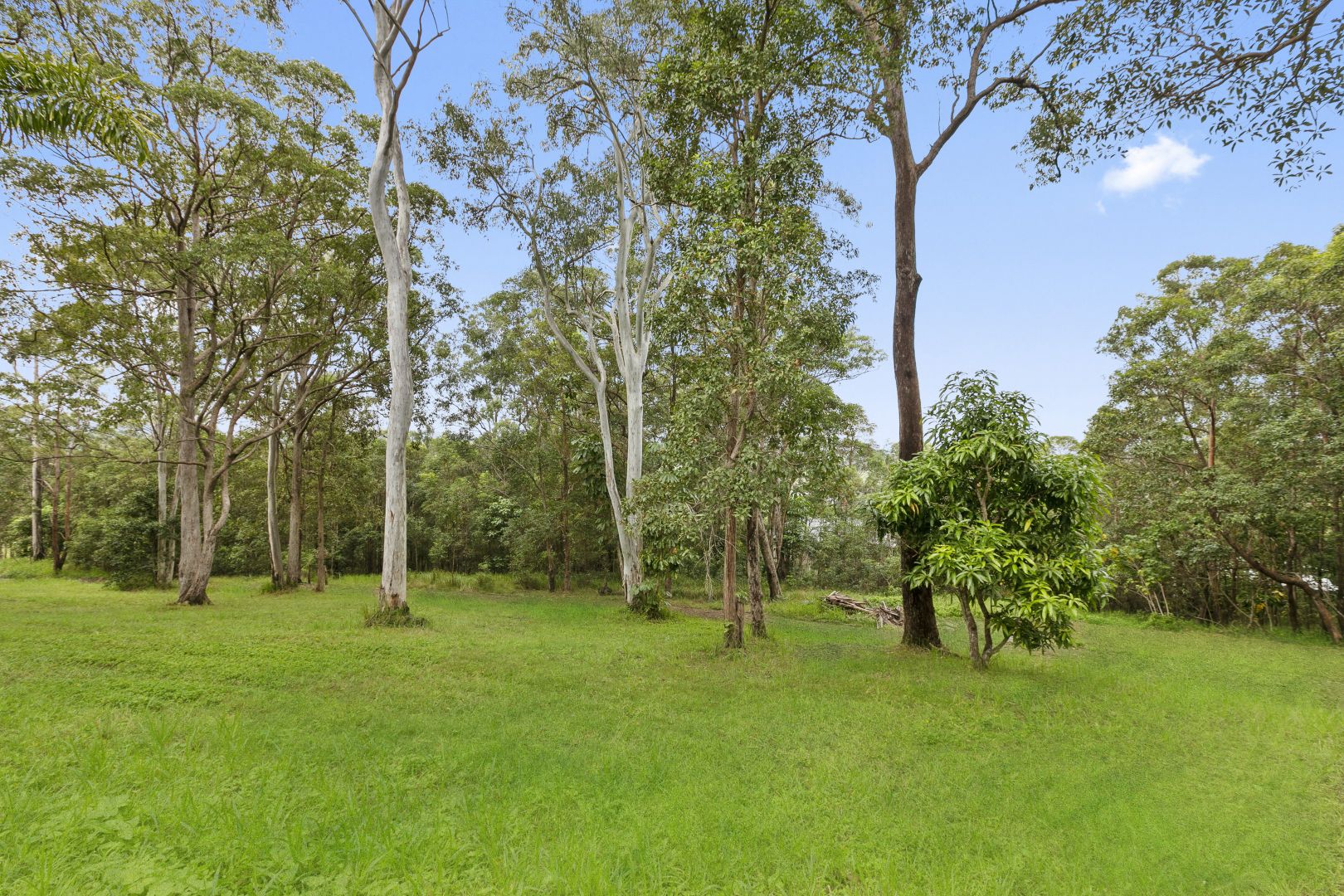 438 Valdora Road, Valdora QLD 4561, Image 2