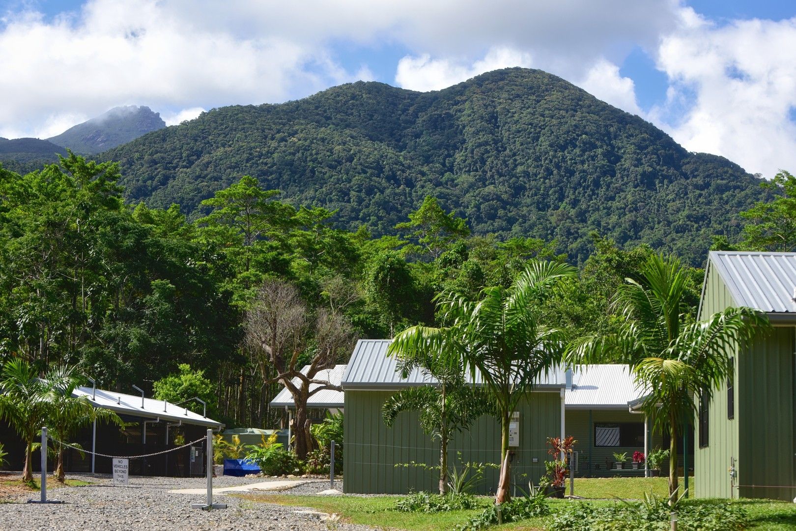 22 Iron Bark Road, Daintree QLD 4873, Image 2