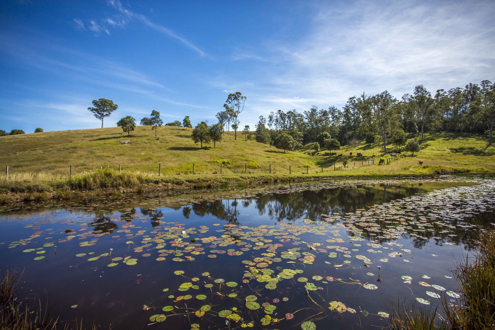 768 North Deep Creek Road, North Deep Creek QLD 4570, Image 0