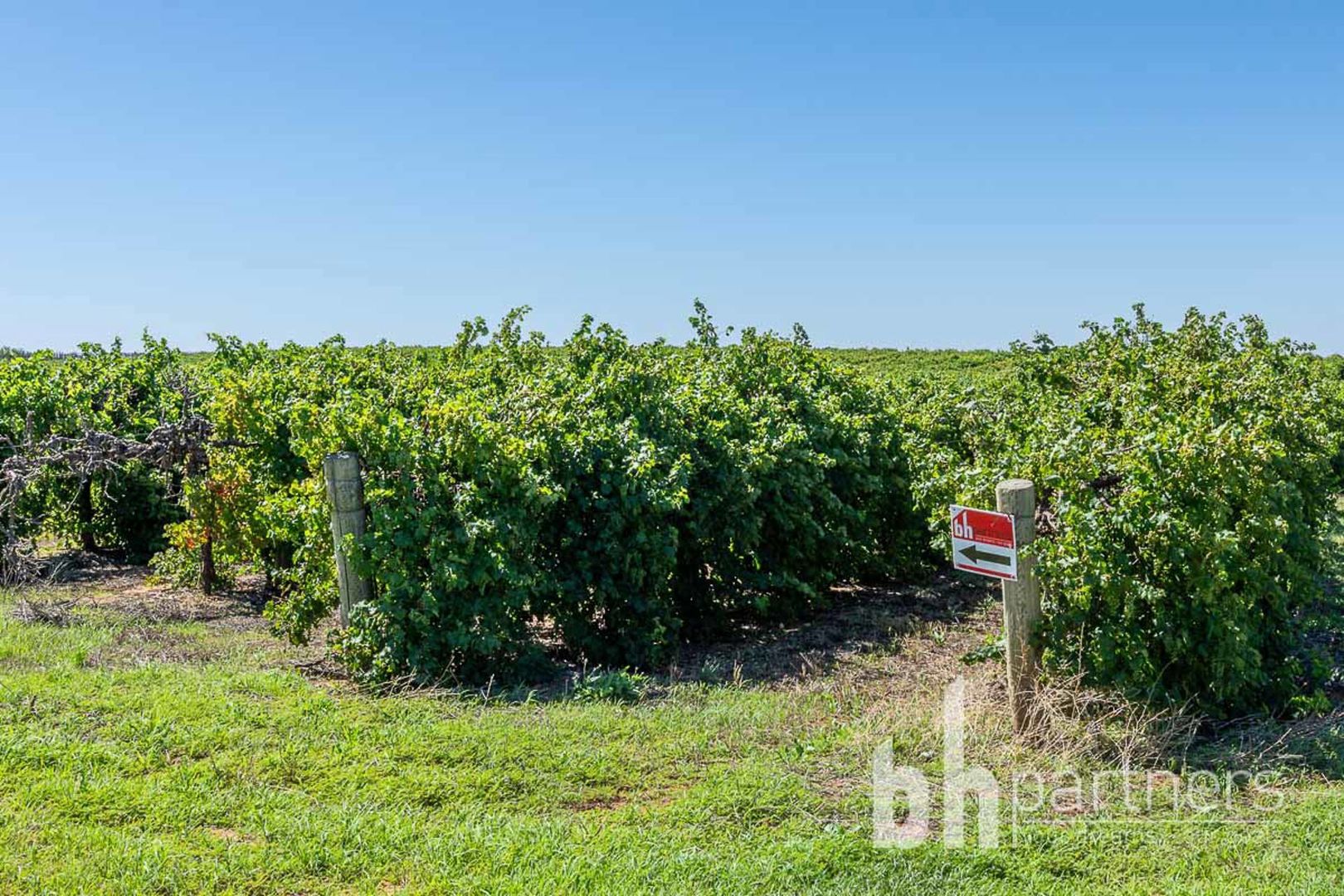 Greenways Road & Heywood Drive, Nildottie SA 5238 House for Sale