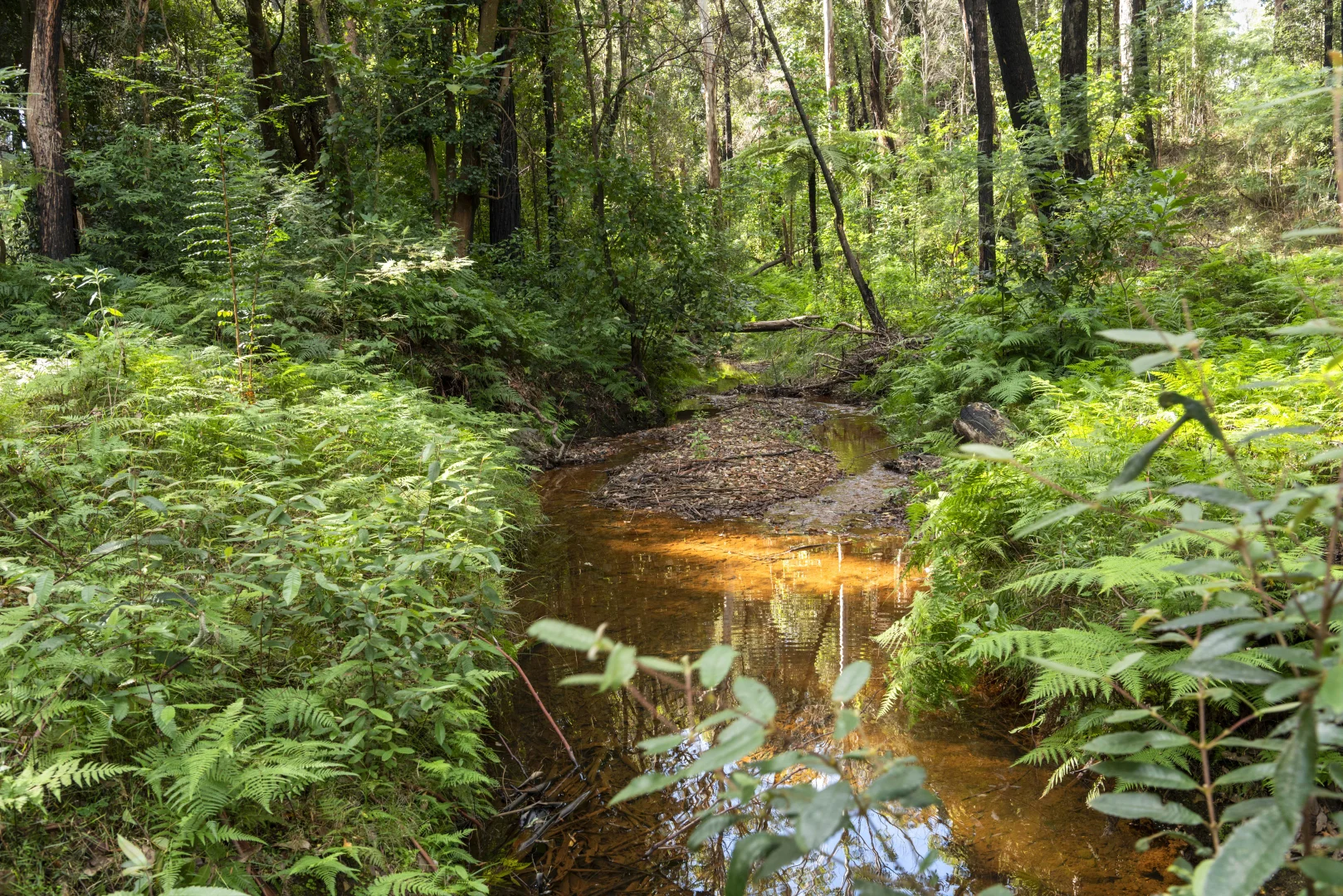 Additional image 17 of 669a Woodburn Road, Morton NSW 2538