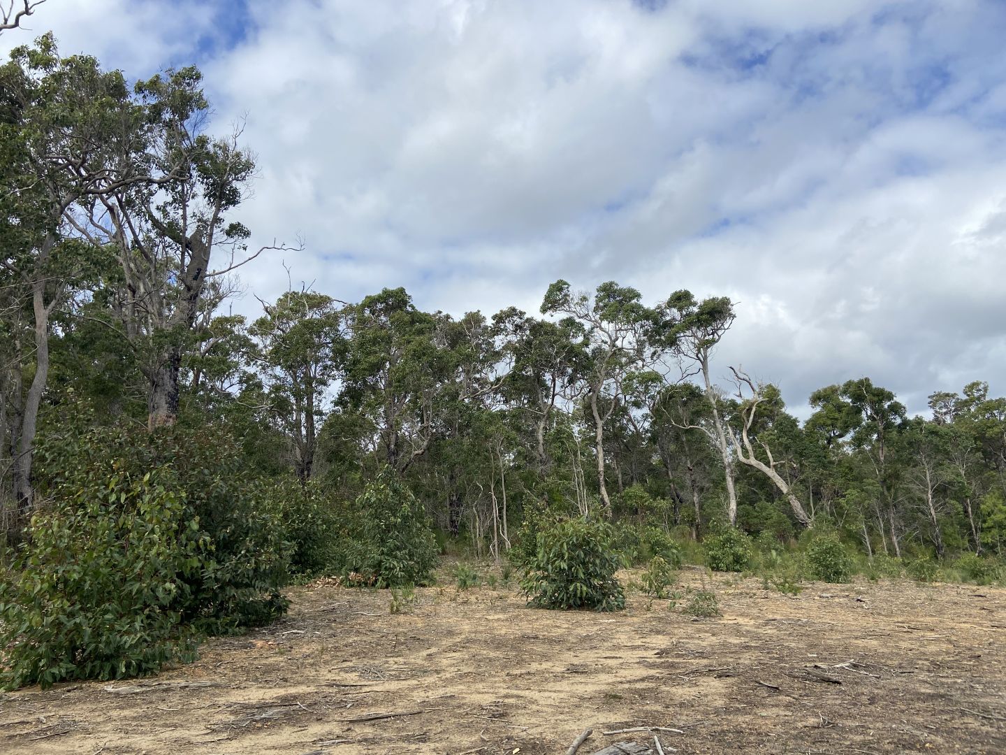 Lot 301/28 Cusmano Retreat, Burnside, Margaret River WA 6285, Image 1