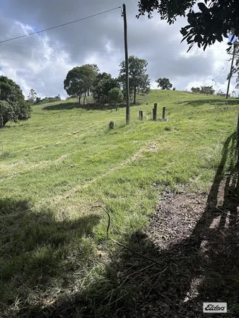 Image 16