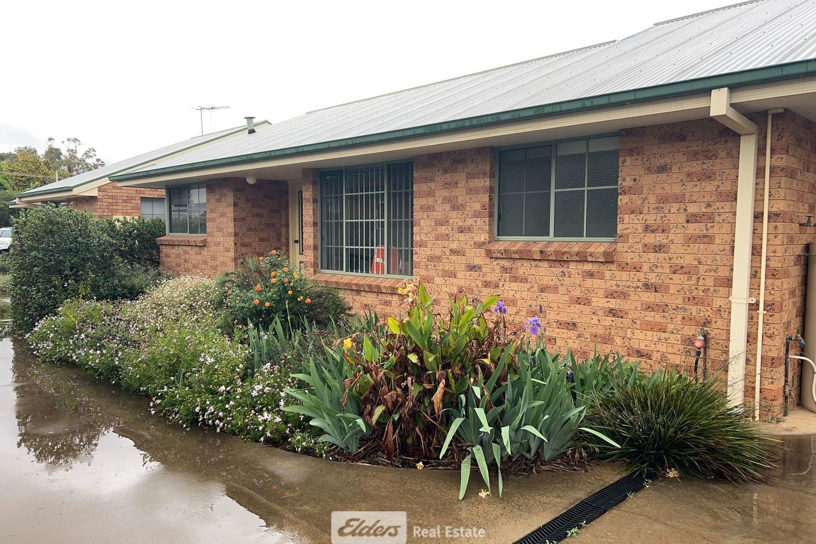 2/1 Jackman Place, Griffith NSW 2680 Apartment For Rent Domain