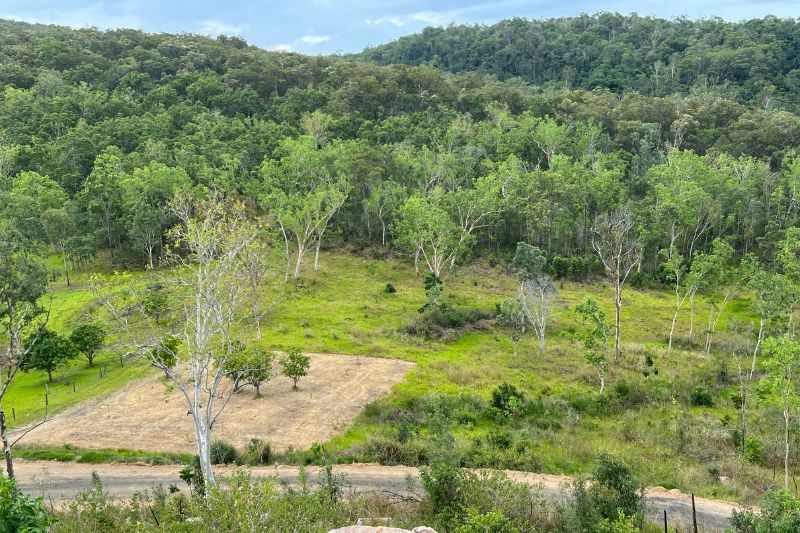 180 Starkey's Road, Mount Ossa QLD 4741 House for Sale Domain