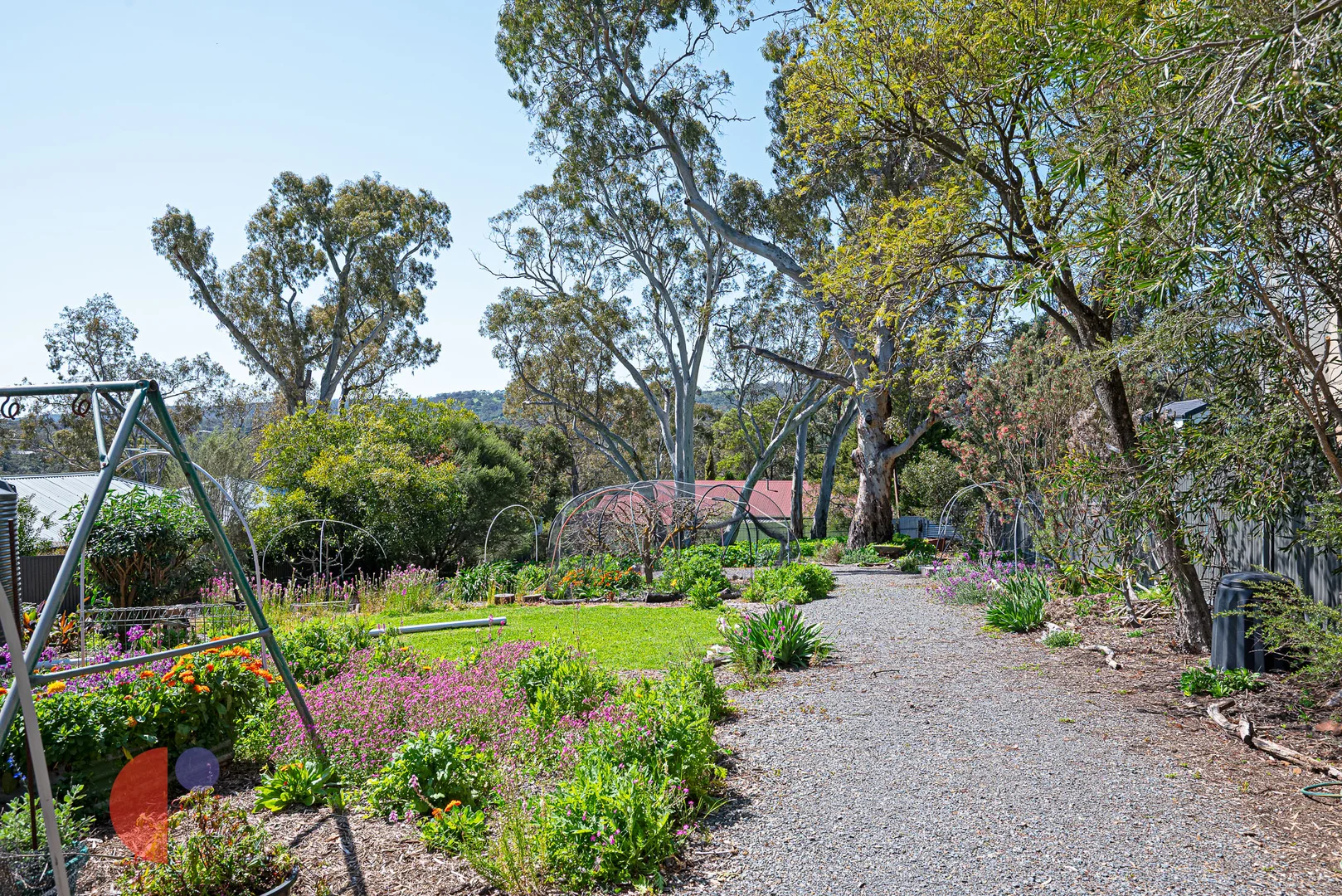 Image 15