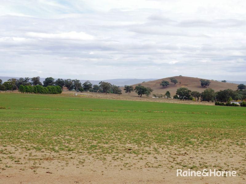 Lot 176 Porters Mount Road, Cowra NSW 2794, Image 1