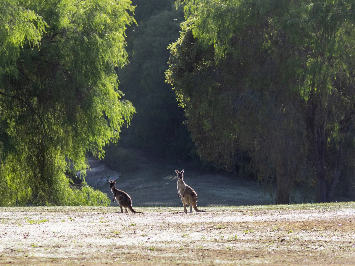 Additional image 20 of Lot 1396 Cresswell Road, Deepdene WA 6290