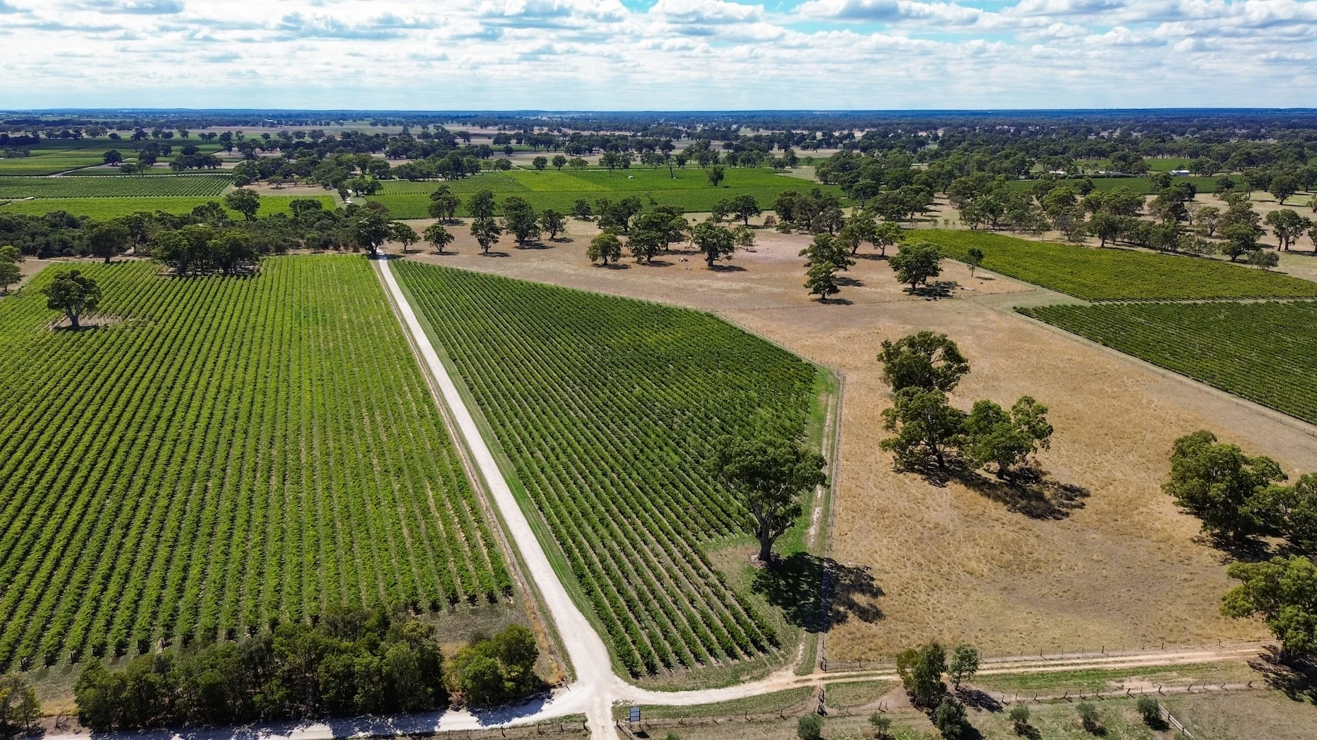 Additional image 16 of V&A Lane, Coonawarra SA 5263