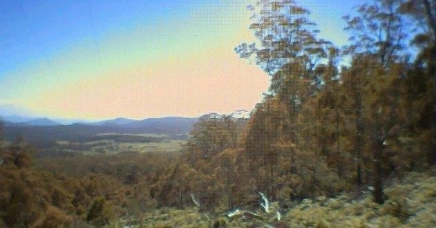 "Wirraway" 1140 Tuross Road, Tuross NSW 2630, Image 1