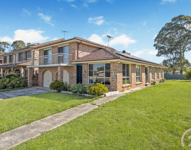 101 Hemphill Avenue, Mount Pritchard NSW 2170