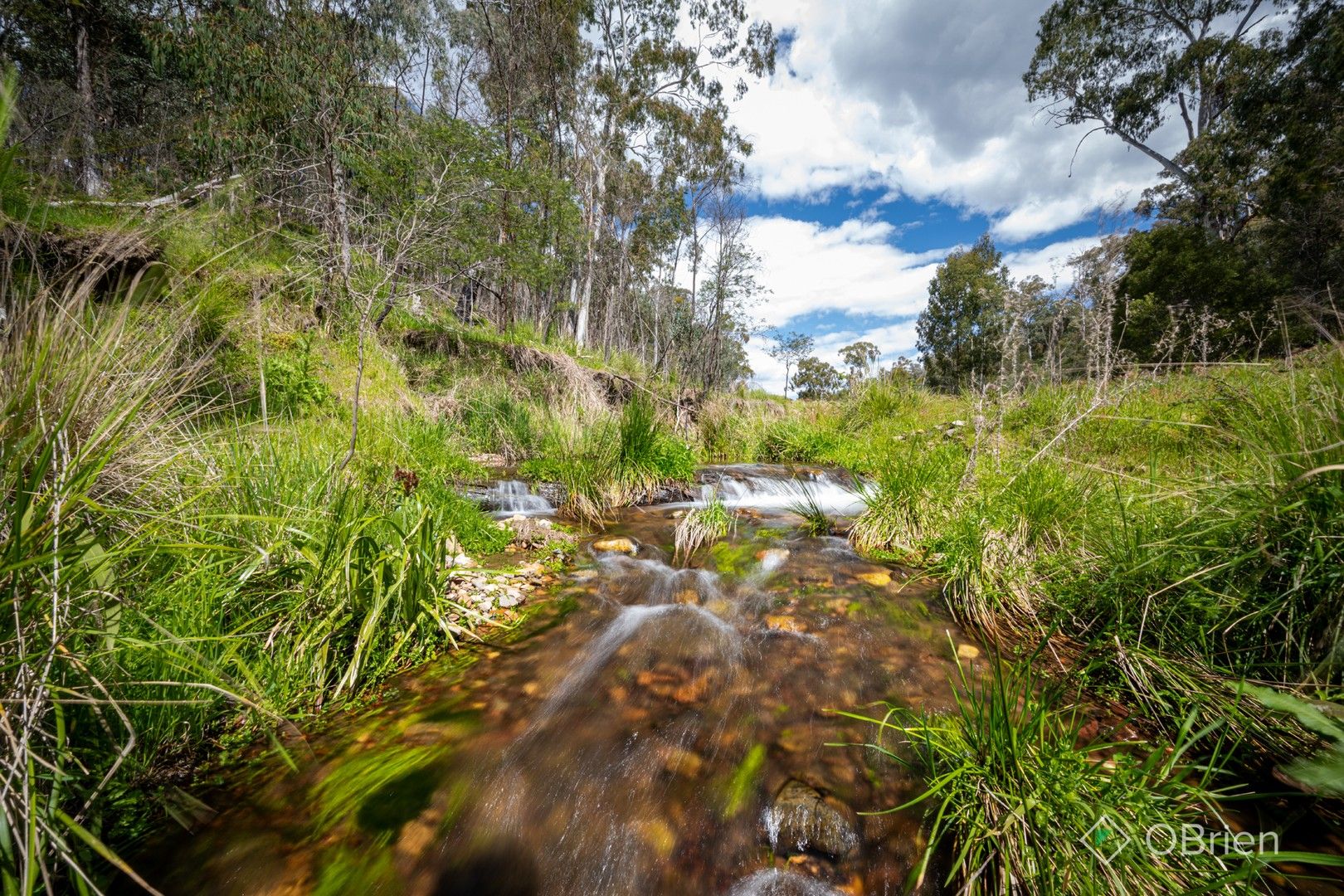 326 Lake Buffalo-Whitfield Road, Whitfield VIC 3733, Image 0