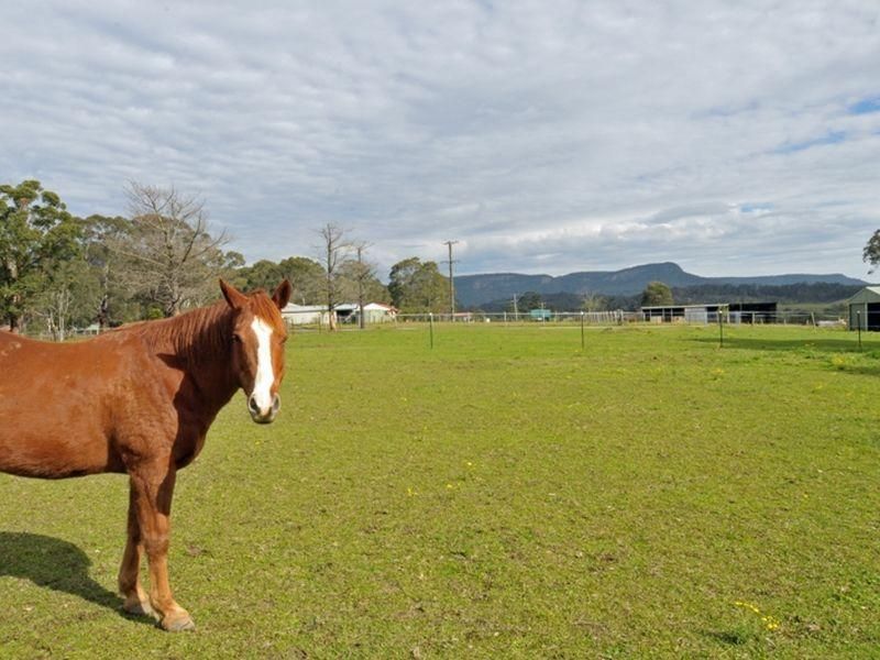 166 Sandy Creek Road, MOUNT VINCENT NSW 2323, Image 0