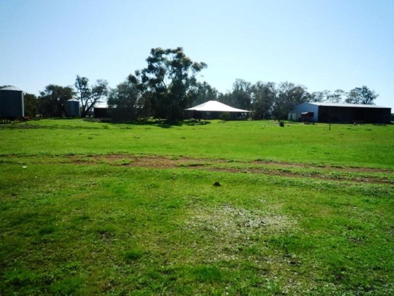 602 Nammegarra Road, Regans Ford WA 6507, Image 2