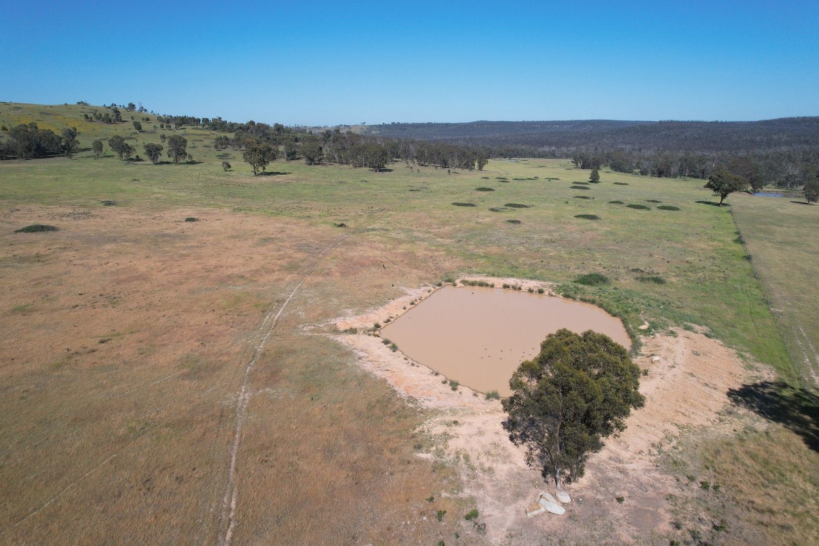 Rural in 12704 GOLDEN HIGHWAY, UARBRY NSW, 2329