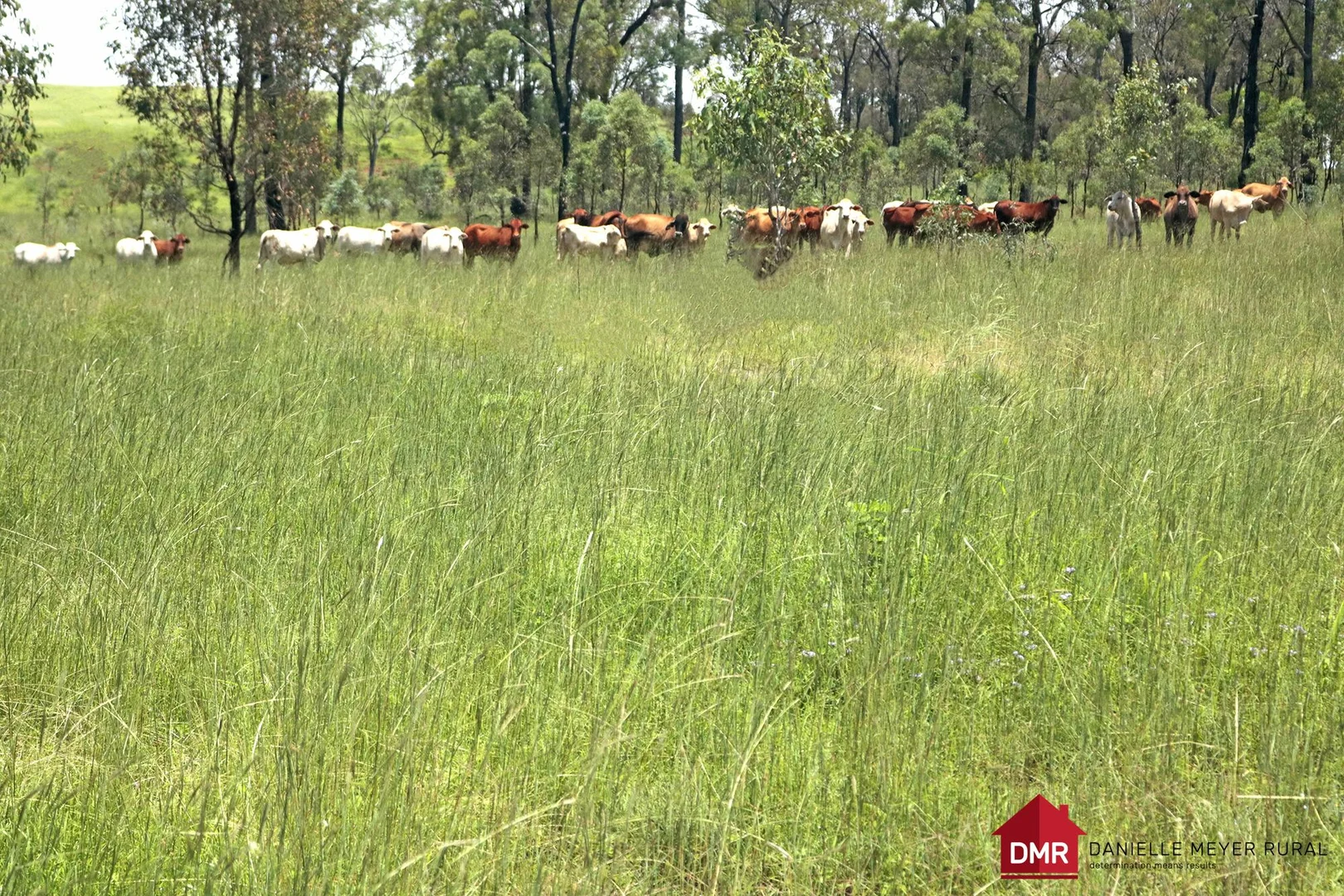 Additional image 23 of 271 McLaughlans Road, Monto QLD 4630