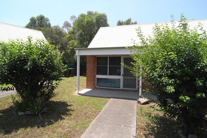 Picture of 6/25 Brook Street, MUSWELLBROOK NSW 2333