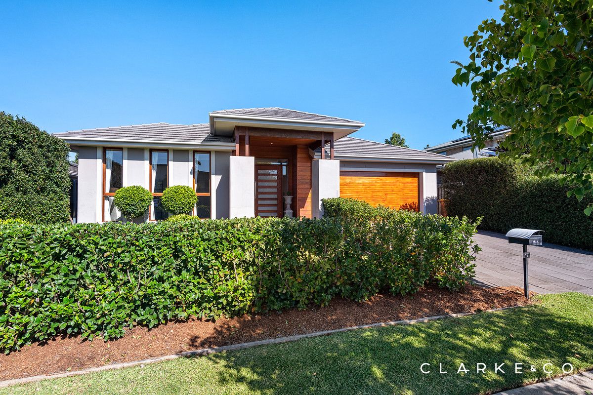 17 Whitetip Street, Chisholm NSW 2322, Image 0