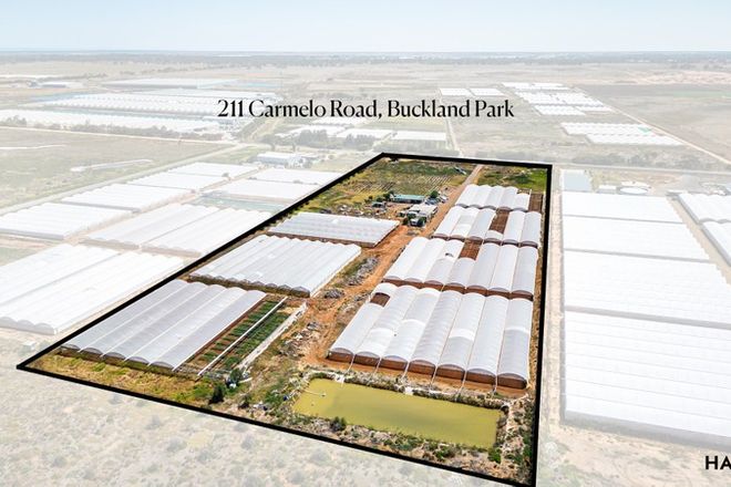 Picture of 211 Carmelo Road, BUCKLAND PARK SA 5120