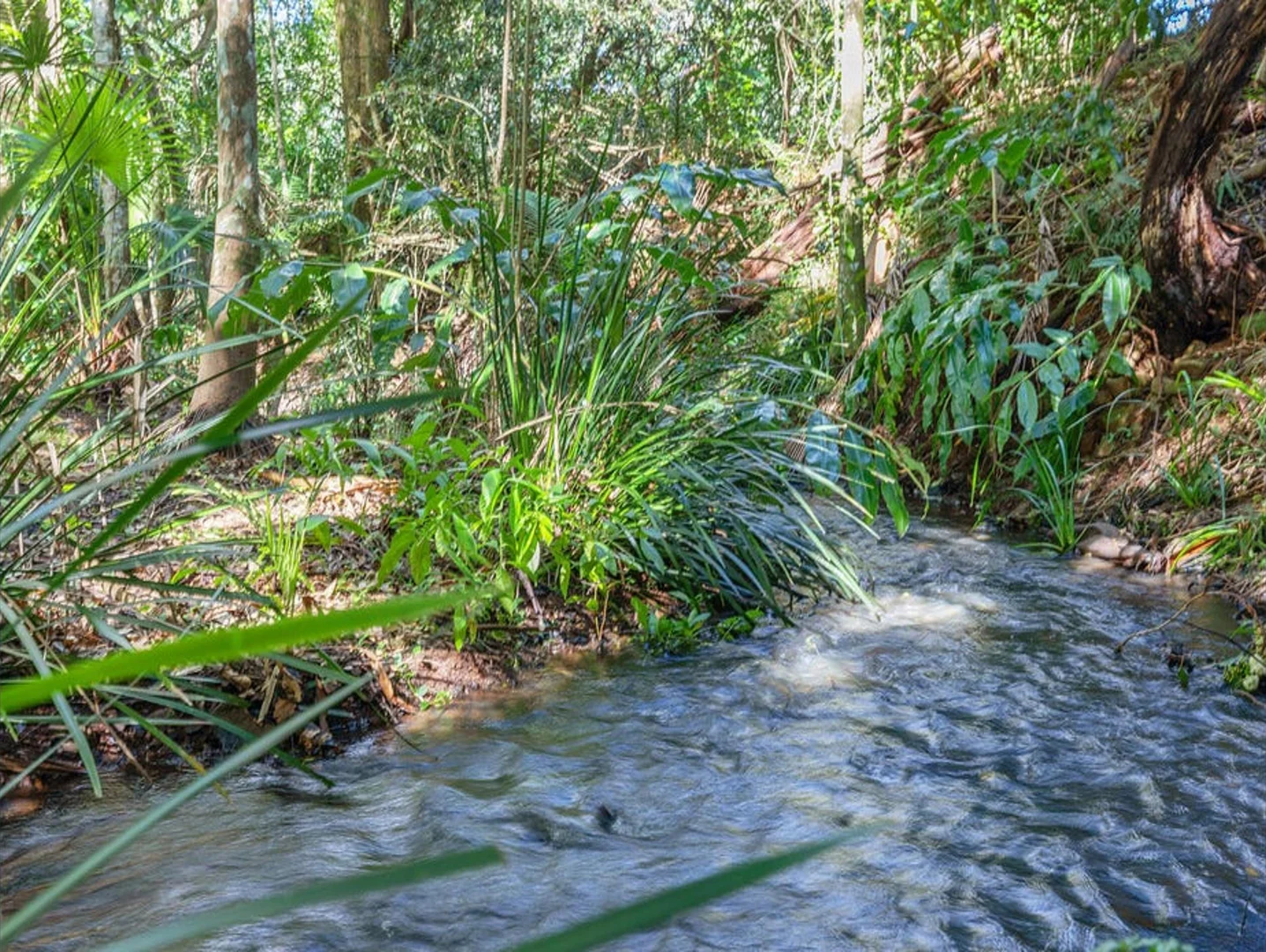 Additional image 29 of 56 Gumland Drive, Witta QLD 4552