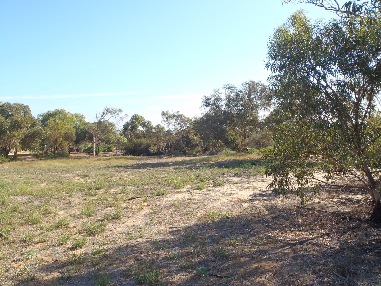 Proposed Lot 17B Trant Road, Moresby WA 6530, Image 2