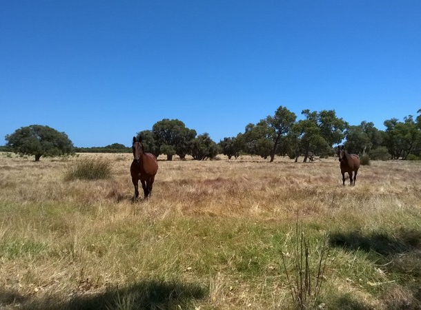 Lot 358 Rapids Road, Serpentine WA 6125