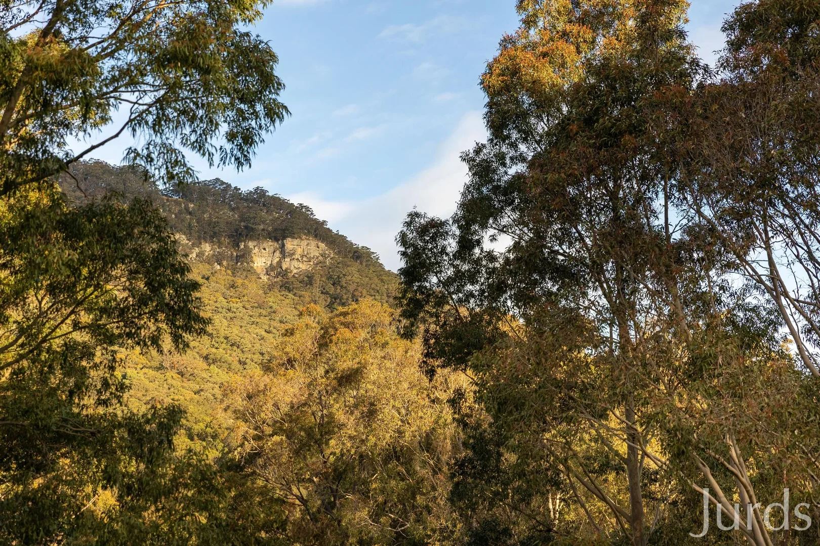 Image 38