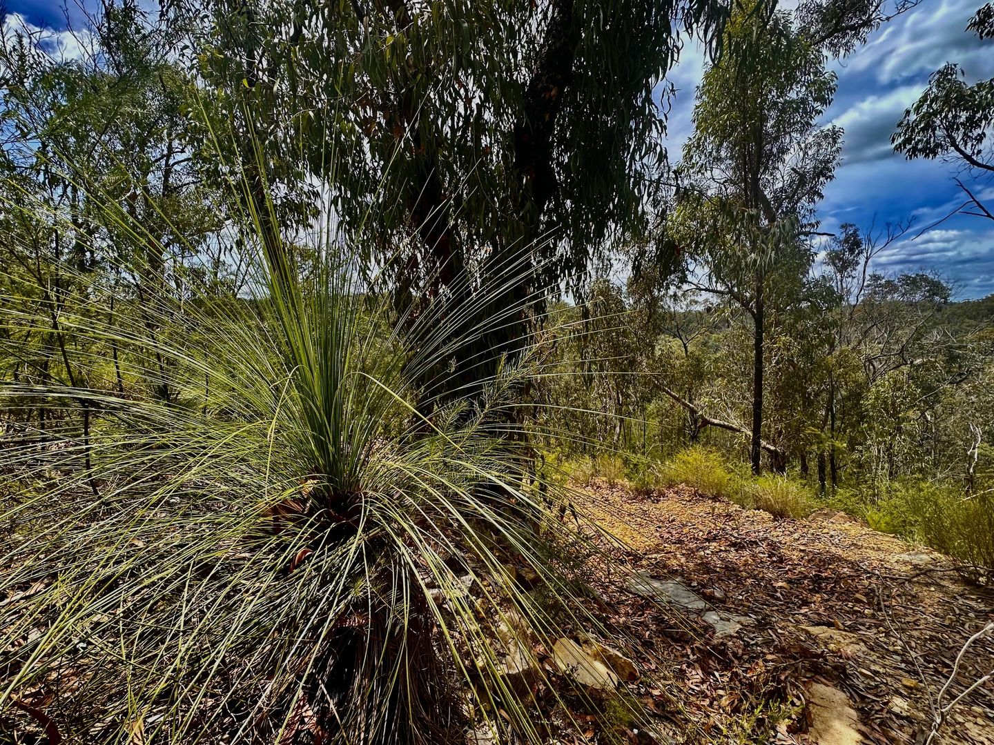 Lot 157 Knights Road, Laguna NSW 2325, Image 1