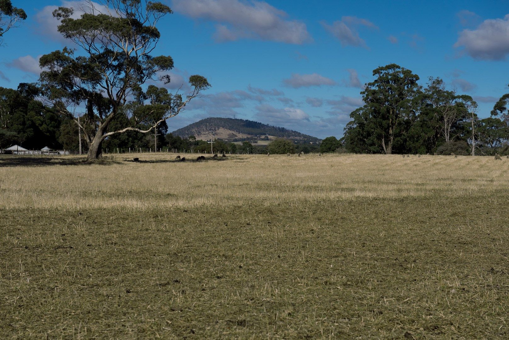 CA 4B Black Swamp Rd, Bullarook VIC 3352, Image 0