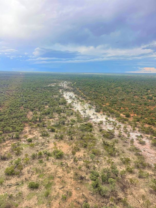 'Robina Downs' 1590 Robina Downs Road, Cunnamulla QLD 4490 House for