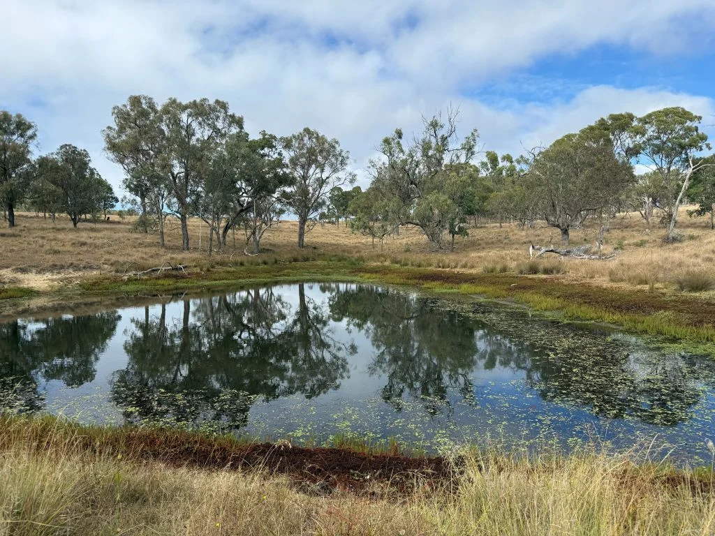 Additional image 4 of 57 Nielsens Road, Sugarloaf QLD 4380