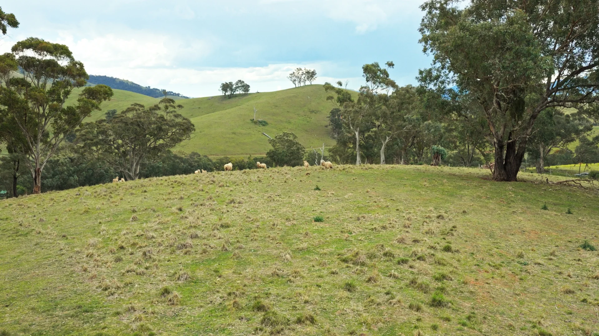 Additional image 5 of Allot 15/5185 Great Alpine Road, Ensay VIC 3895