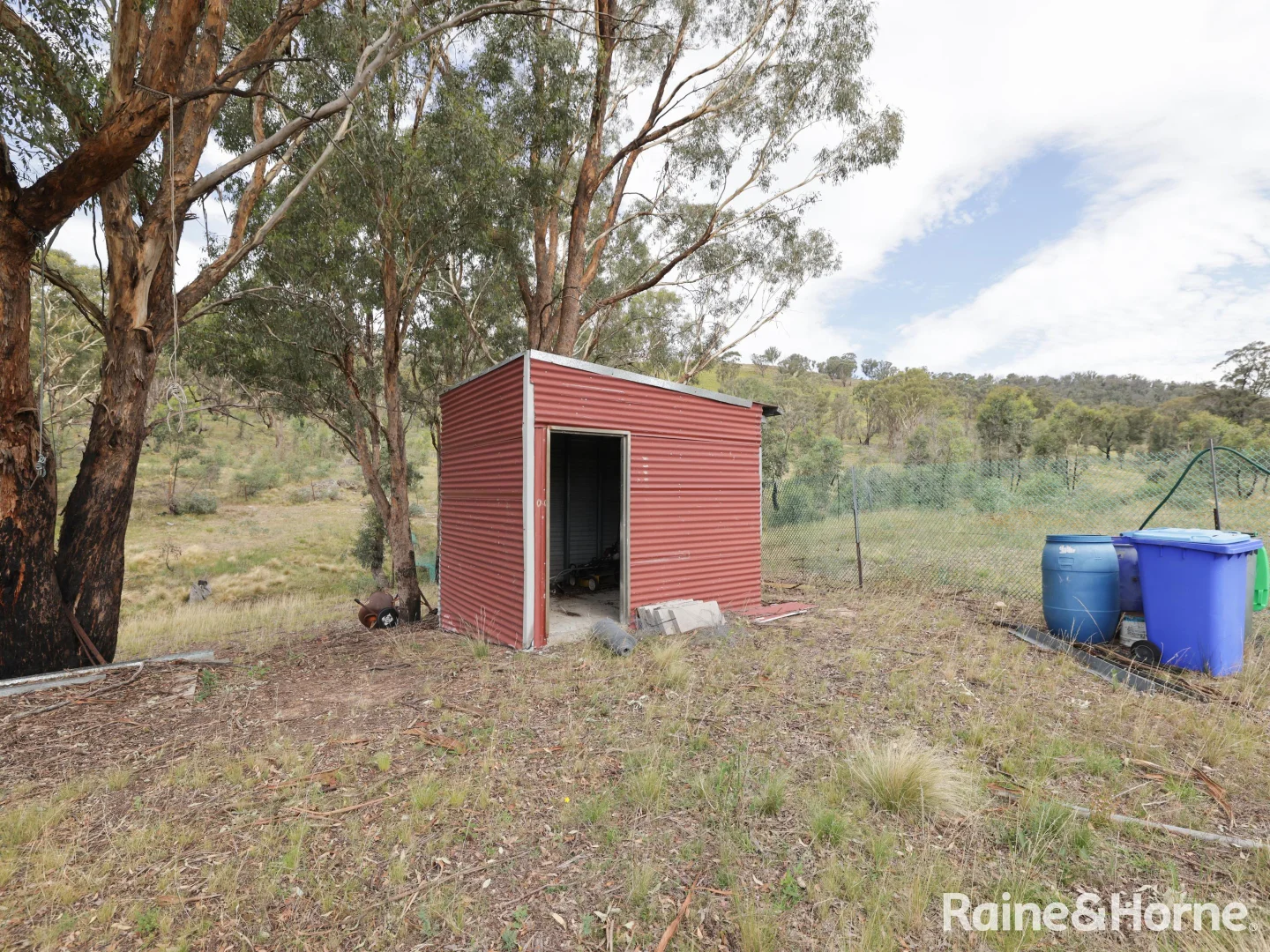 Image 12