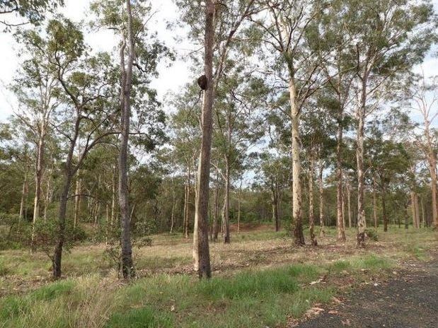 Lot 1 Chisholms Road, Gin Gin QLD 4671, Image 0